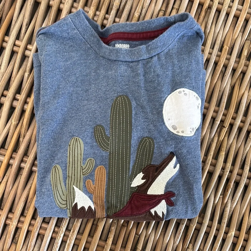 Gymboree Blue Desert Graphic and shorts and tee set